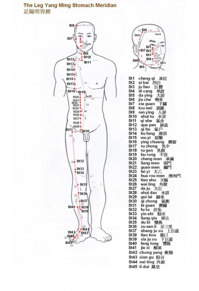 Belajar Akupuntur (Meridian Lambung)