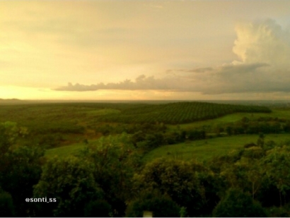 Kalimantan Selatan di Penghujung 2013