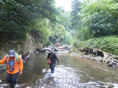 Kawasan Riparian Sungai Serayu Kaya Tumbuhan Obat