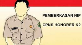 Kecelakaan Sejarah Penerimaan CPNS Honorer Kategori 2 DKI Jakarta