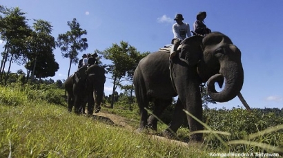 Jejak–jejak Si Pembunuh Gajah Patroli