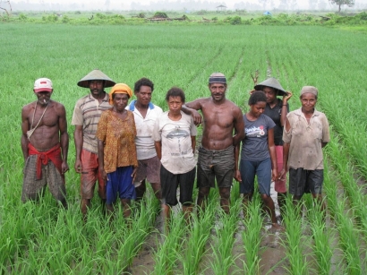 Siapa Bilang Orang Papua Engga Bisa Bertani?