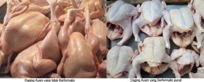Ada Apa Dibalik Ekspose Ayam Berformalin?