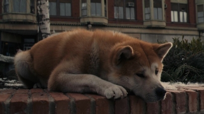 Hachiko, Kisah Nyata Kesetiaan Anjing Kepada Majikannya