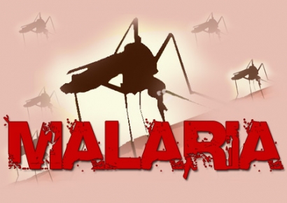 Ini yang Perlu Anda Ketahui tentang Malaria