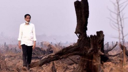 Jokowi dan Kabut Indonesia