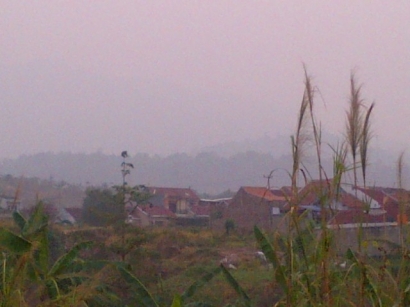Kabut Asap Mulai Selimuti Provinsi Lampung