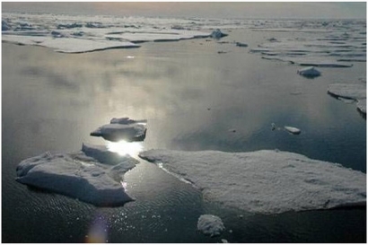 Tujuh Peran Penting Laut Es yang Rusak oleh Perubahan Iklim
