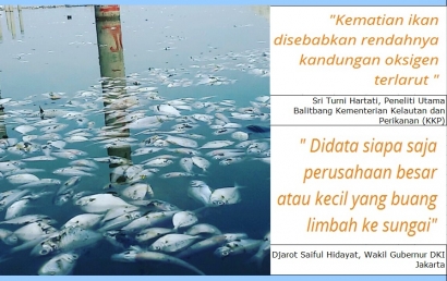 Reklamasi Ancol + Limbah Industri = Penyebab Ribuan Ikan Mati di Teluk Jakarta