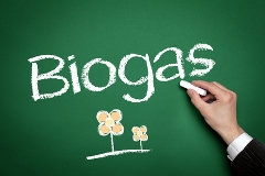 Biogas: Sumber Energi Terbarukan untuk Indonesia Mandiri dan Mendunia