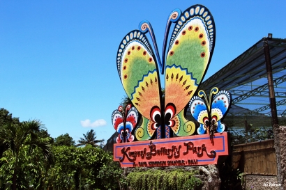 Edukasi di Taman Kupu-kupu Kemenuh Bali