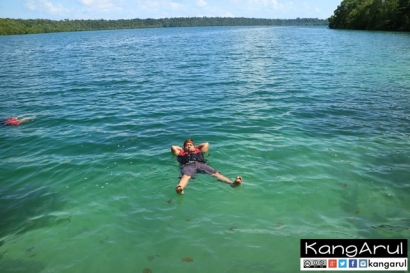 Berenang Bersama Ubur-ubur di Pulau Kakaban