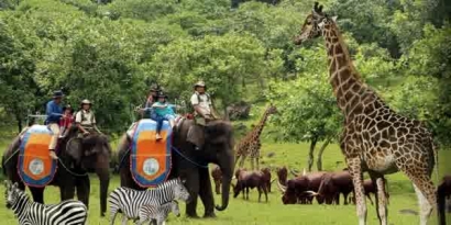 Taman Safari Prigen, Miniatur Kehidupan Satwa Dunia