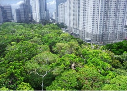 Sedikit Konsep [Rencana] ‘Hutan Kota’ Jakarta
