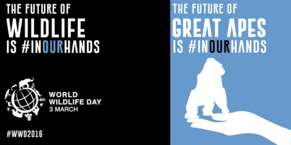 3 Maret, Hari Alam Liar Sedunia: Bagaimana Nasib dan Masa Depan Satwa Liar di Tangan Kita?