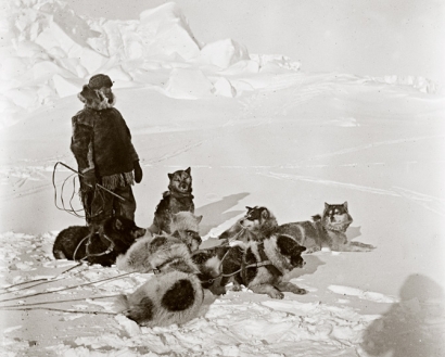 [Serial Kepemudaan-3] Sikap Kepemimpinan Sang Penakluk Kutub Selatan, Roald Amundsen vs Robert Falcon Scott