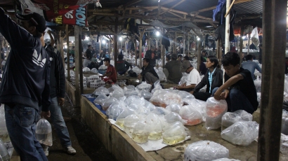 Ini Dia, Pasar Ikan Hias Bogor dengan Omset Ratusan Juta Rupiah