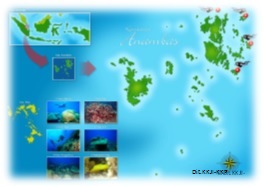 Keindahan Alam dan Pesona Surga Bawah Laut Taman Wisata Perairan Kepulauan Anambas yang Menggoda