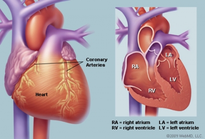 Penyakit Jantung Koroner: Ada Apa dengan Jantung?