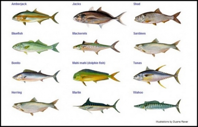 Ikan sebagai Pangan (6): Cegah Keracunan Histamin