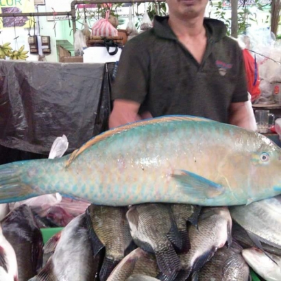 Gangan Ikan Ketarap Primadona Kuliner Negeri Laskar Pelangi
