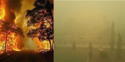 Emisi Karbon  Kebakaran Hutan di Indonesia Tahun 2015 Menjadi Keprihatian Dunia