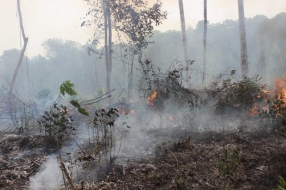 Akankah Tahun Ini Bara Api Tak Lagi Membara di Belantara Indonesia yang Tersisa?