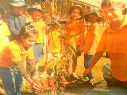 3000 Sekolah Rayakan  National Schools Day Tree di Australia