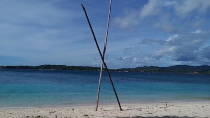 Cantiknya Buaya di Lepas Pantai Papua