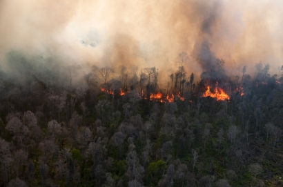 Kebakaran Hutan di Riau Kini Telan Korban Seorang Prajurit TNI