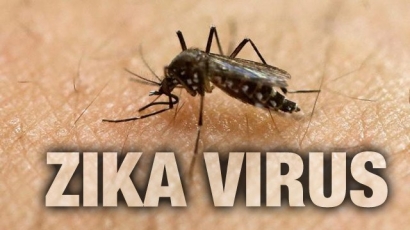 Waspadai (Lagi) Virus Zika