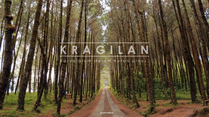 Dusun Kragilan Mendadak Tenar di Instagram Karena Pinus