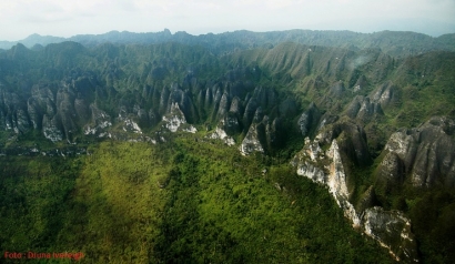 "Gunung Avatar” di Kalimantan