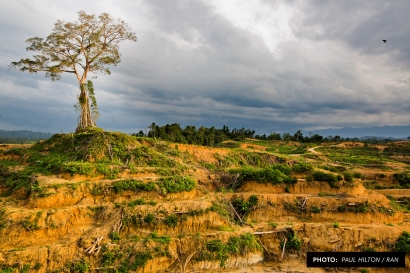 Kelirumologi RTRW Aceh dan Dampaknya pada Ekosistem Leuser
