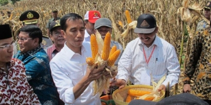 Dua Tahun Era Jokowi-JK, Ekspor-Impor Pangan dan Upah Buruh Tani "On the Track"