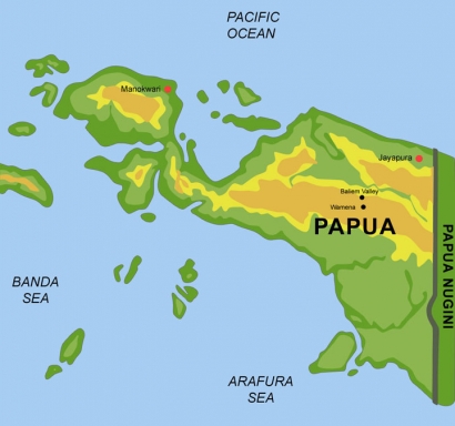 Kebakaran Hutan Papua dan Omong Kosong Mighty