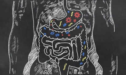 Berkenalan dengan Probiotik, Mikrobiota yang Hidup di Dalam Tubuhmu