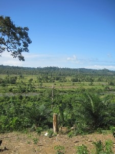 Kampung Halaman: Desa Tanjung Alam, Kedurang Bengkulu Selatan