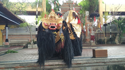 Jadi Bintang Papan Atas di Pertunjukan Tari Barong, Celuluk, Bali