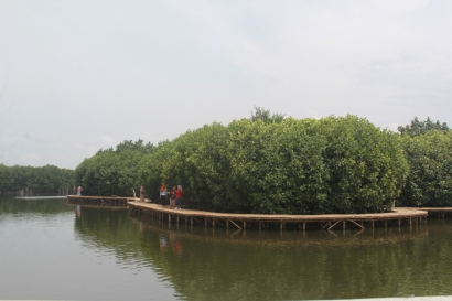 Asyiknya Trekking Mangrove Maerakaca Semarang