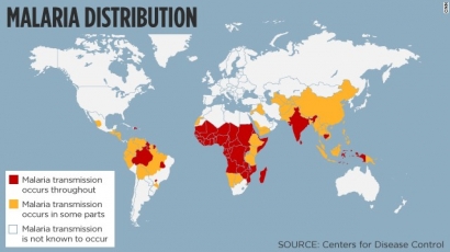 Malaria: Dari DDT Hingga BT