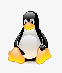 5 Tips untuk Kalian yang Beralih ke Linux