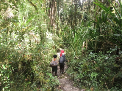 Mama Tangguh Asal Pegunungan Bintang - Papua