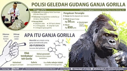 Tembakau Gorilla Dinyatakan sebagai Narkotika Golongan 1