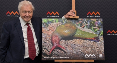 David Attenborough, Sang Naturalis yang Namanya Paling Banyak Diabadikan