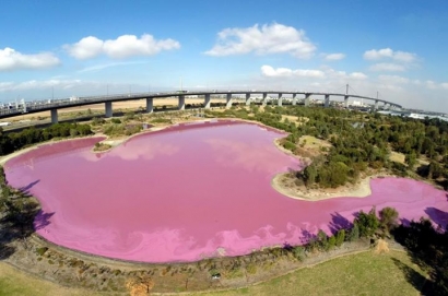 Fenomena Air Danau Berubah Jadi Pink di Melbroune