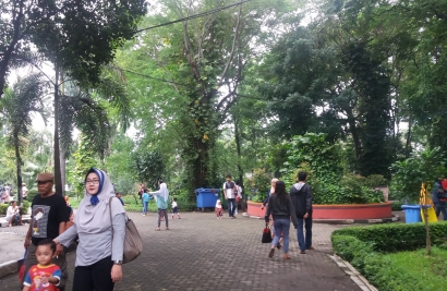 Taman Flora Surabaya, Ruang Multi Fungsi yang Bikin Jatuh Hati