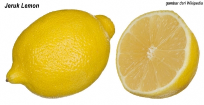 Mengatasi Batuk Berdahak yang Membandel dengan Lemon
