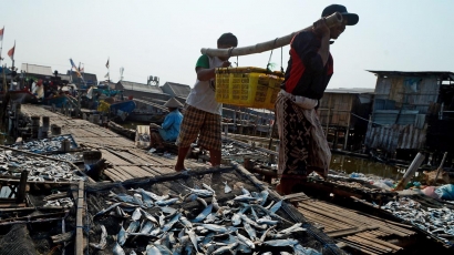 Menelisik Potensi Ekonomi Ikan "Resek" di Kelurahan Kalanganyar Sidoarjo