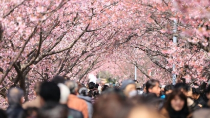 Musim Semi, Harapan, dan Depresi di Jepang